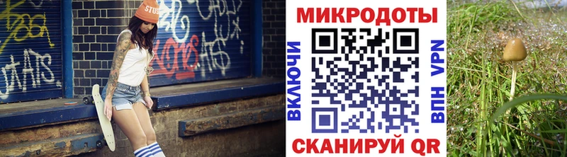 Купить закладки  Нижний Новгород  Галлюциногенные грибы ЛСД 